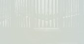 Audio