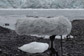 Grabación de campo de Daniel Blinkhorn en un glaciar