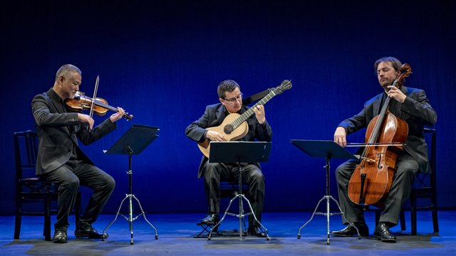 Ferandiere inédito: la guitarra en la cámara