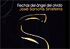 José Sanchis Sinisterra. Flechas del ángel del olvido. Ciudad Real: Ed. Ñaque, 2004.