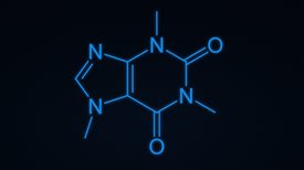 Chemistry and Sustainable Development