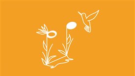 Tropicália. Ritmos de Brasil (I)