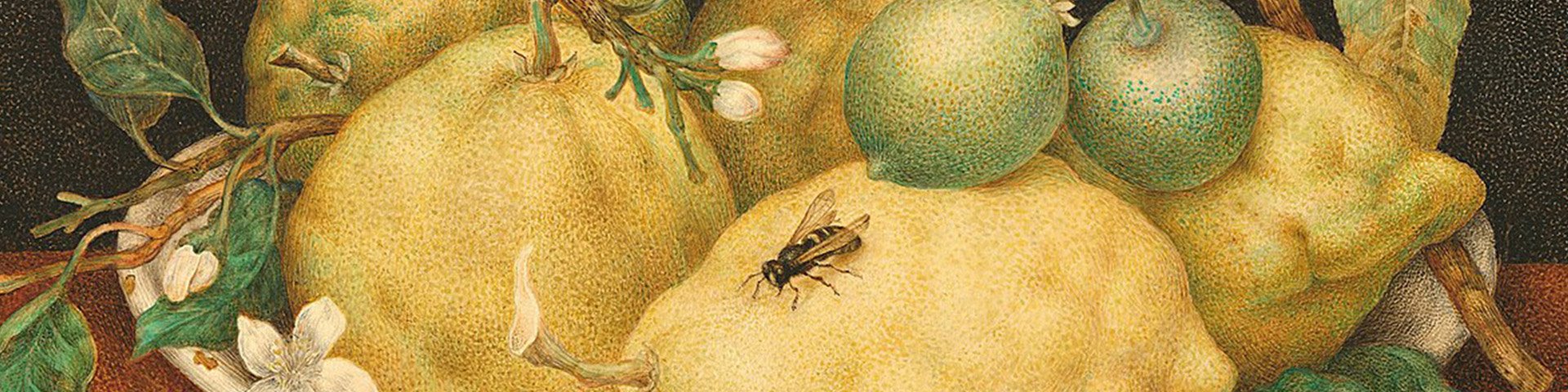 Los alimentos que vinieron de Oriente