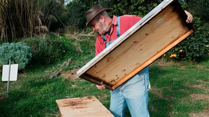 Las artes y los oficios: Gori Lladó, la apicultura ecológica en la isla