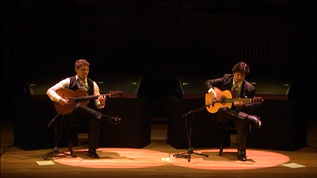 La guitarra flamenca: Falla y Cañizares