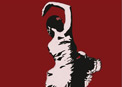 flamenco
