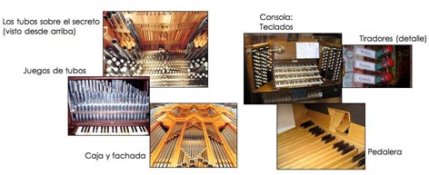 Cómo suena el órgano de tubos? – Concierto órgano – Guías didácticas – Recitales para – Música • Fundación Juan March