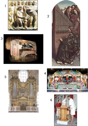 Imagenes representativas de la historia y evolución del organo