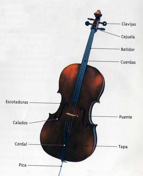 Elementos del violonchelo